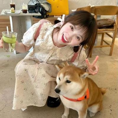 昏婚欲睡第二季